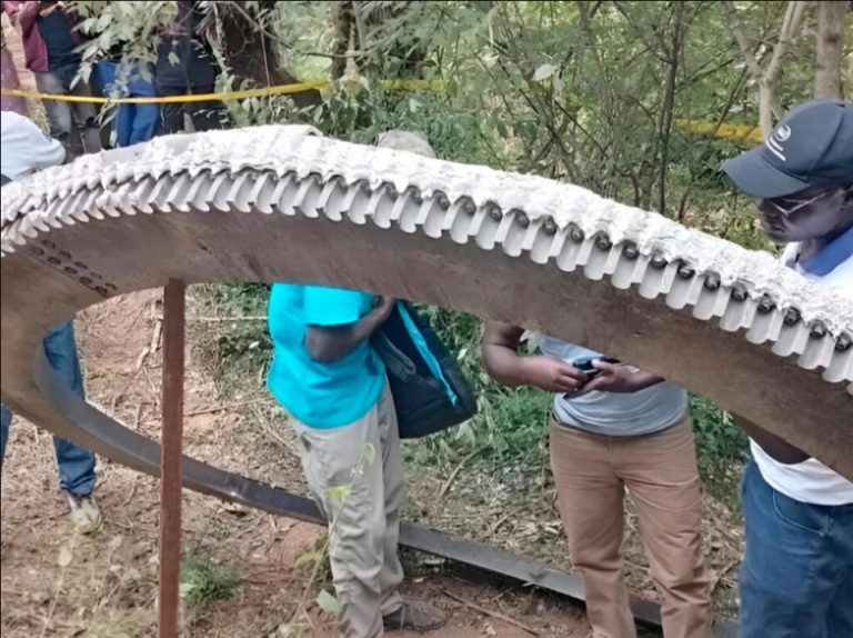 El anillo que cayó del cielo en Kenia: un misterio espacial que nadie quiere reclamar